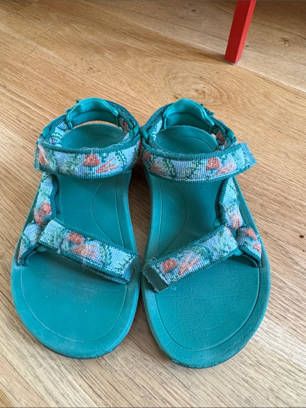 Teva kids size 11. Carrot design. Super cute.